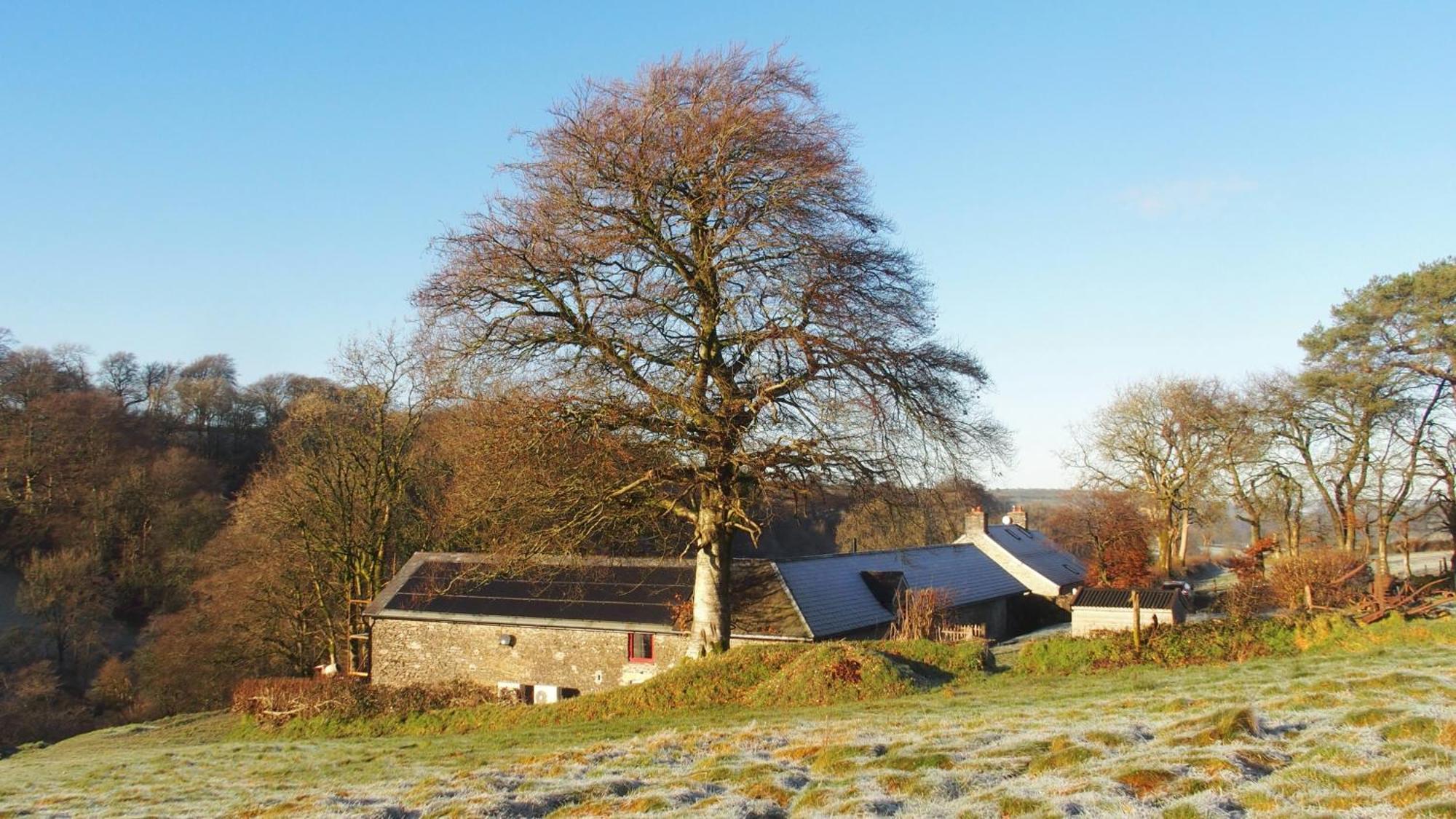 Charming Countryside Barn Apartamento Pencader  Exterior foto